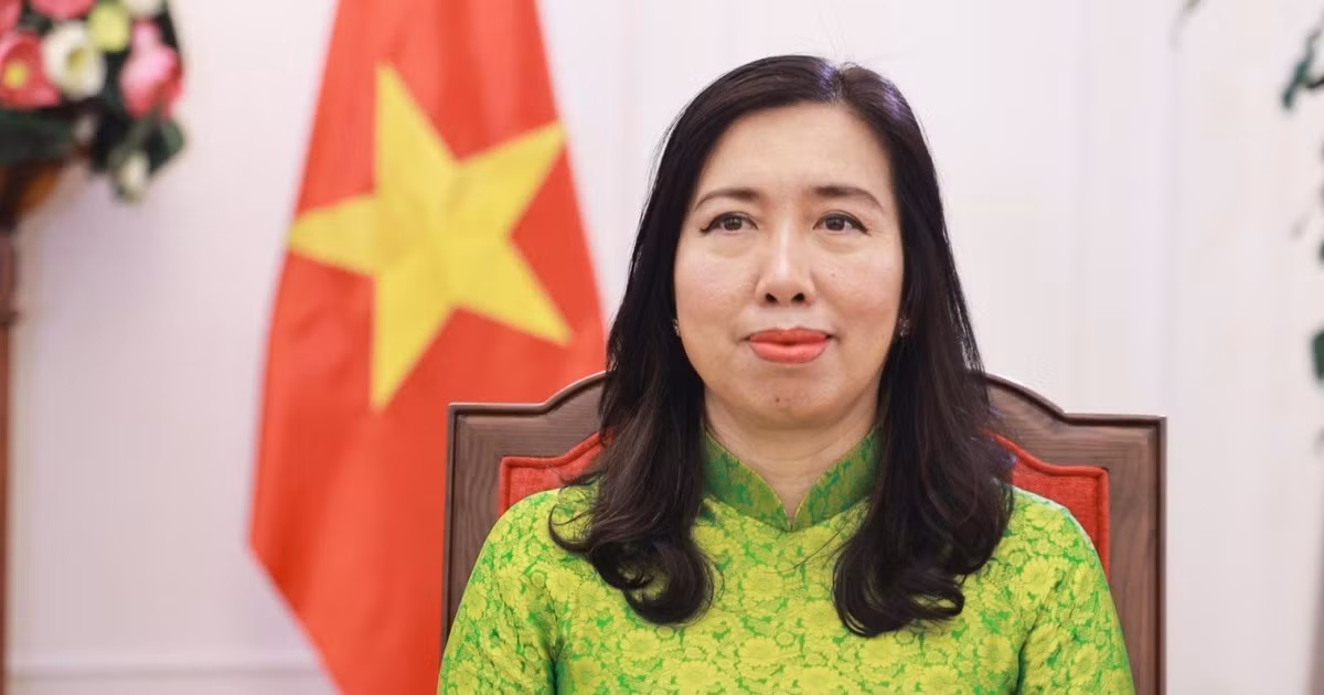 Thứ trưởng Ngoại giao Lê Thị Thu Hằng. (Ảnh: Bộ Ngoại giao Việt Nam cung cấp) 