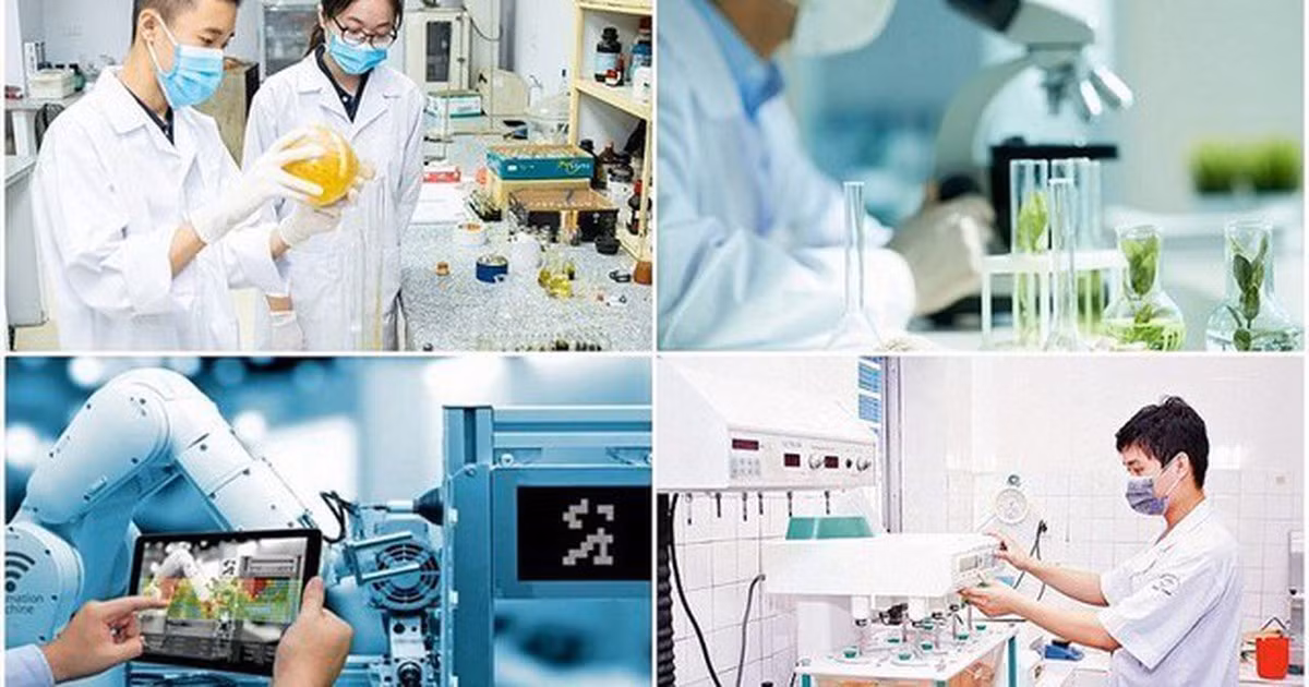 Cơ chế thu hút chuyên gia, tài năng trẻ trong hoạt động đổi mới sáng tạo