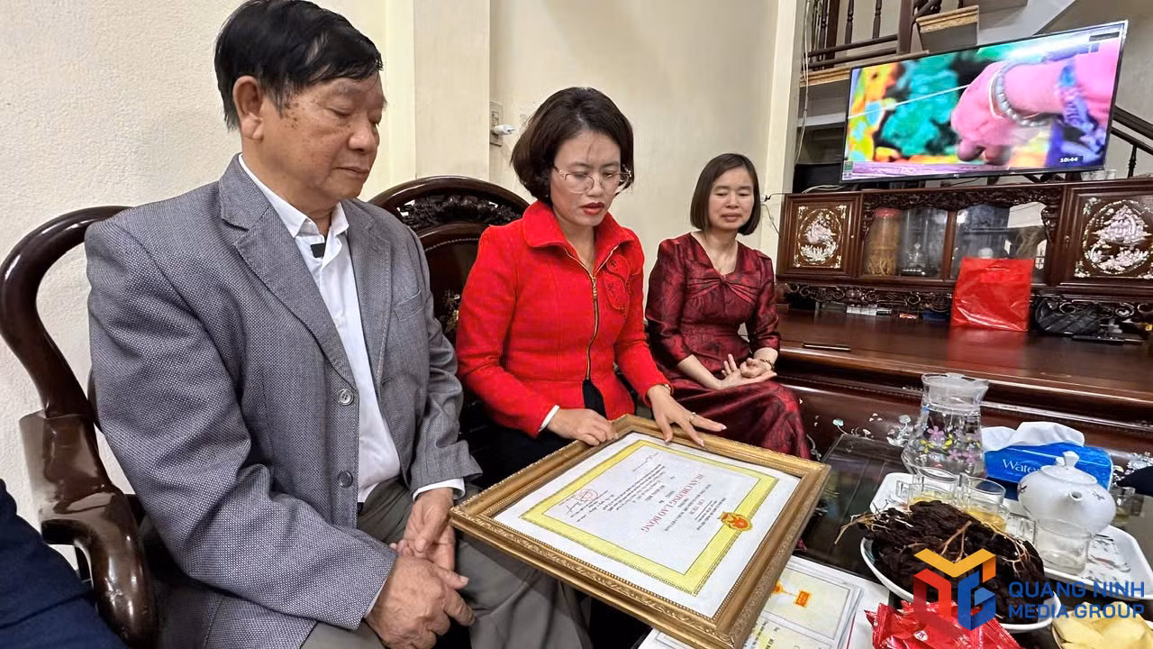bqn_br_bac-hieu-dnai-3365.jpg
