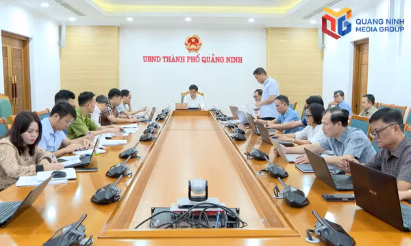 UBND thành phố cho ý kiến các giải pháp tăng trưởng ngành Nông nghiệp và Môi trường