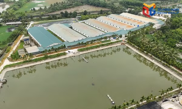 Duy trì đà tăng trưởng ngành chăn nuôi