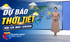 Dự báo thời tiết đêm 12, ngày 13/9/2026