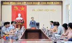 Đồng chí Trưởng Ban Tổ chức Thành ủy làm việc với Thường trực Đảng ủy phường Hiệp Hòa
