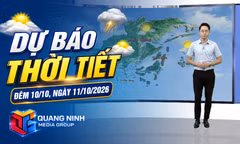 Dự báo thời tiết đêm 10, ngày 11/10/2026