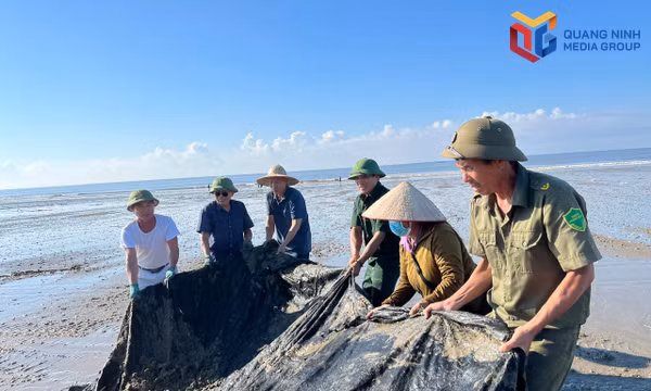 Dọn vệ sinh, thu gom rác thải trên bãi biển Trà Cổ sau cơn bão số 1. Ảnh: Thu Hằng (CTV)