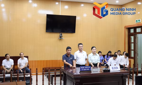 Xét xử vụ kiện công ích, buộc doanh nghiệp tại Quảng Hà trả nợ BHXH 