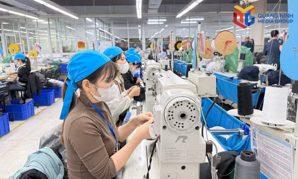 Bảo vệ quyền lợi lao động từ vấn đề sát sườn