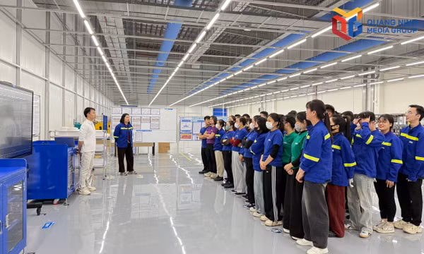 Hiểu luật để giữ vững quan hệ lao động
