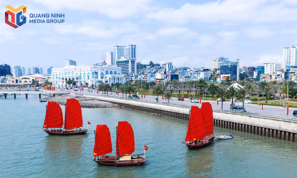 Khi nghị quyết là cuộc sống