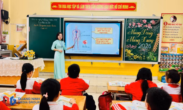 Cô giáo Hoàng Thị Thu Hương trong một giờ giảng môn khoa học tự nhiên.