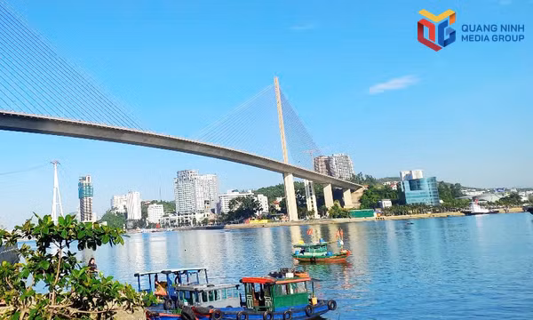Gỡ “thẻ vàng” IUU trong năm nay