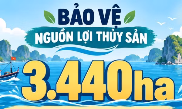 3.440ha - là tổng diện tích 13 khu bảo vệ nguồn lợi thủy sản ở vùng biển Quảng Ninh