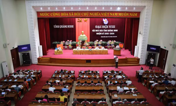 Tổ chức và đội ngũ 