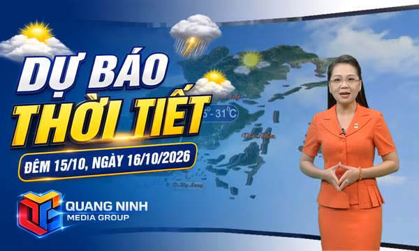 Dự báo thời tiết đêm 15/10, ngày 16/10/2026