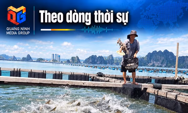 Theo dòng thời sự 16/9/2026: Tăng trưởng thủy sản từ nuôi trồng