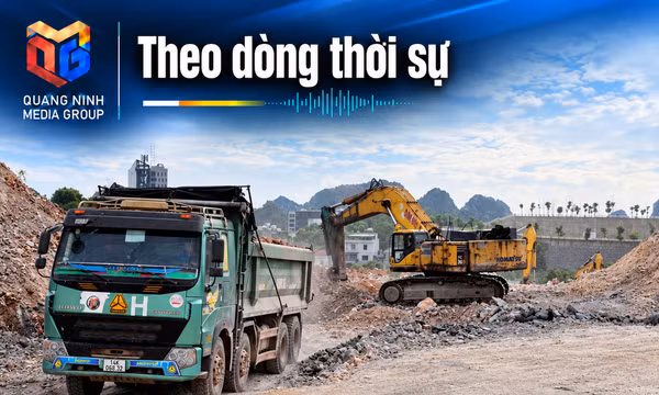 Theo dòng thời sự 08/10/2026: 90 ngày nước rút nhìn từ cơ sở