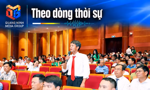 Theo dòng thời sự ngày 22/10/2026: Một đầu mối theo sát kiến nghị doanh nghiệp