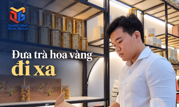 Đưa trà hoa vàng đi xa