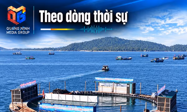Theo dòng thời sự 21/10/2026: Động lực tăng trưởng từ nuôi trồng thủy sản