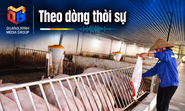 Theo dòng thời sự 07/10/2026: Mỗi trang trại một mã định danh