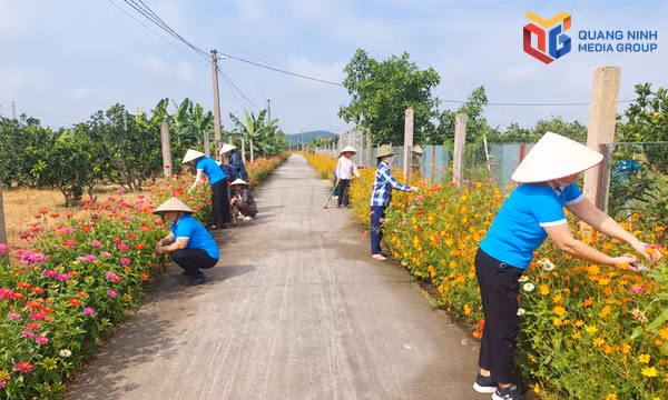 CLB hát Then, đàn Tính (xã Tiên Yên) tổ chức sinh hoạt, tháng 8/2026.