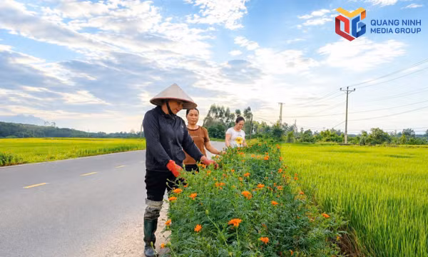 Nhiều mô hình mới góp sức xây dựng môi trường xanh - sạch - đẹp
