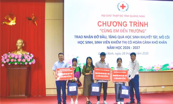 Các hội quần chúng hoạt động ổn định sau sắp xếp