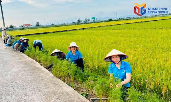 Tạo chuyển biến ngay từ cơ sở.