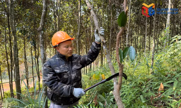 Nhân rộng điển hình tiên tiến vùng dân tộc thiểu số