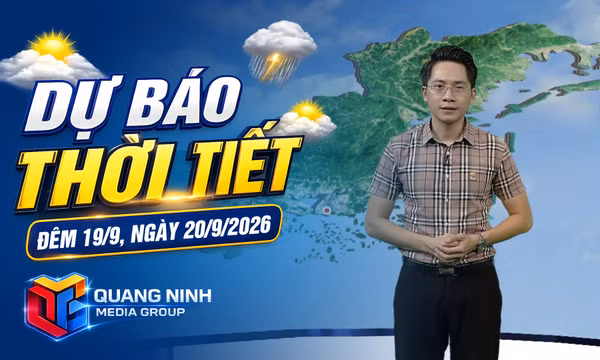 Dự báo thời tiết đêm 19, ngày 20/9/2026