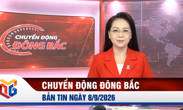 Chuyển động Đông Bắc ngày 8/9/2026