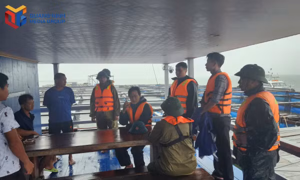 Xã Đầm Hà thành lập 3 tổ công tác phòng chống bão số 4