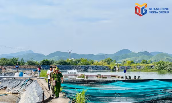 Xây dựng bản đồ số bảo đảm ANTT tại các vùng nuôi thủy sản