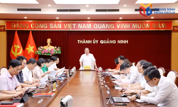 Nâng cao chất lượng công tác tham mưu đáp ứng yêu cầu phát triển của thành phố