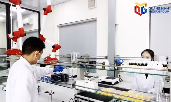 Khuyến khích đảng viên làm giàu