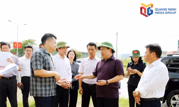 Không có chỗ cho sợ sai, đùn đẩy công việc