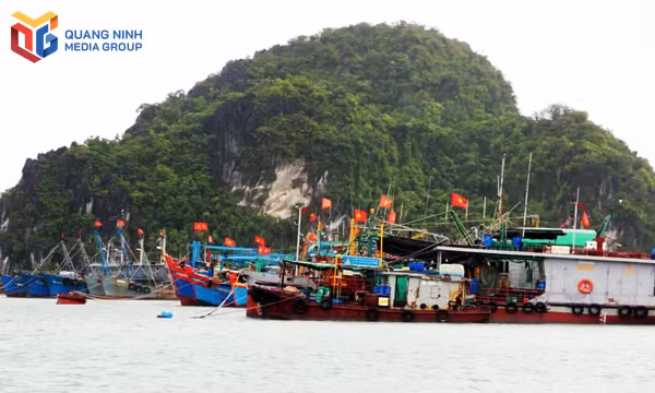 "5 không” để gỡ "thẻ vàng”