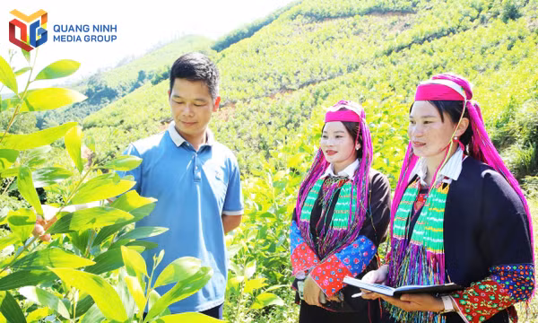 Trao cơ hội cho người trẻ