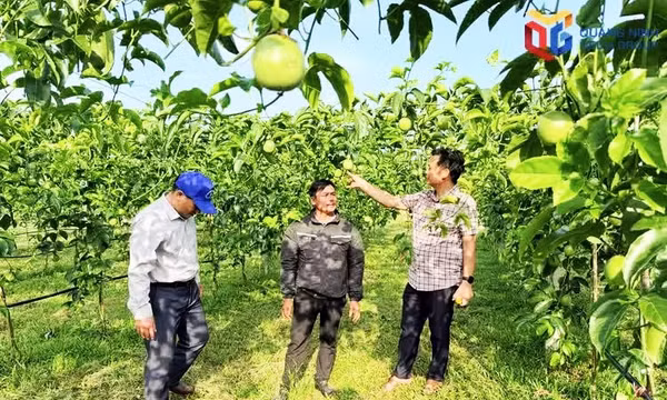 Nông thôn mới - Hành trình mới