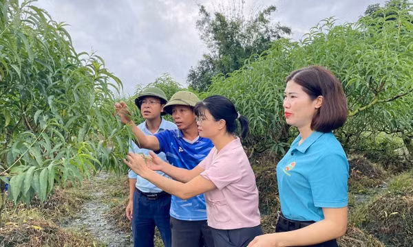Bản lĩnh, tự cường, nỗ lực vươn lên