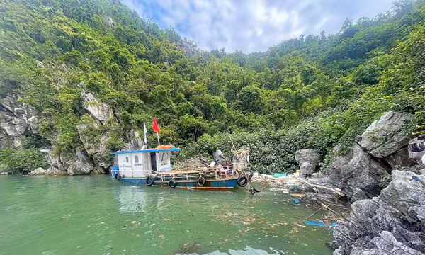 Lực lượng chức năng thu gom rác thải nhựa trôi nổi trên vịnh Hạ Long.