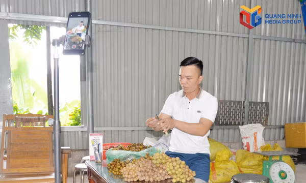 Nông thôn thông minh ở thành phố trẻ