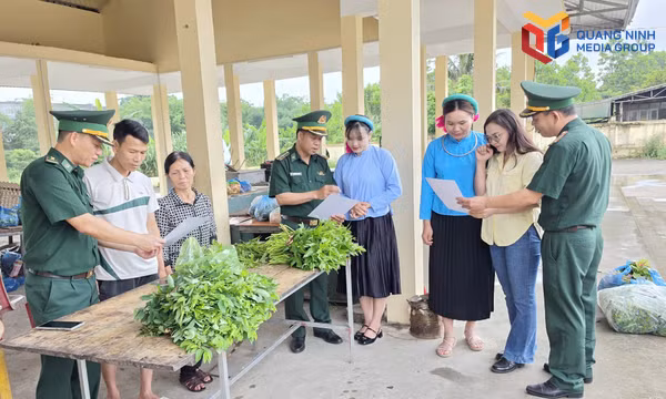 Đại tá Nguyễn Quang Hòa, Chỉ huy trưởng Ban Chỉ huy BĐBP tỉnh kiểm tra tại cửa khẩu Quốc tế Móng Cái.