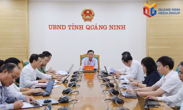 UBND tỉnh cho ý kiến về tiến độ triển khai các dự án hạ tầng, hợp tác kinh tế biên giới