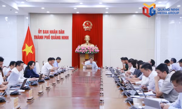Rà soát nghị quyết HĐND thành phố, chủ động đề xuất sửa đổi, bổ sung chính sách