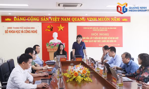 Đoàn ĐBQH tham vấn, lấy ý kiến góp ý đối với 3 dự án luật 