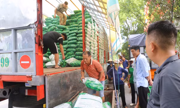 Quản lý chặt chất lượng vật tư nông nghiệp