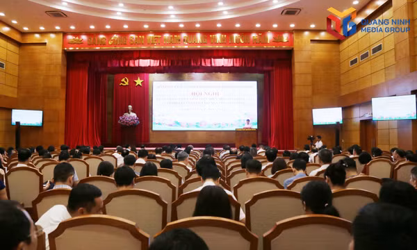 Quán triệt, triển khai thực hiện một số nghị quyết, chỉ thị của Trung ương, Thành ủy