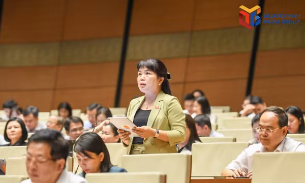 Cần minh bạch cơ chế thu hồi đất, điều chỉnh giá đất và quản lý đất công xen kẹp