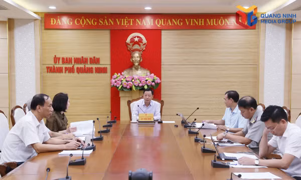 UBND thành phố rà soát kết quả giải quyết vụ việc của công dân